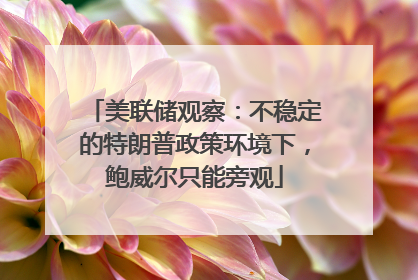 美联储观察：不稳定的特朗普政策环境下，鲍威尔只能旁观