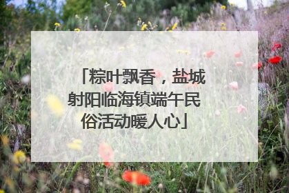 粽叶飘香，盐城射阳临海镇端午民俗活动暖人心