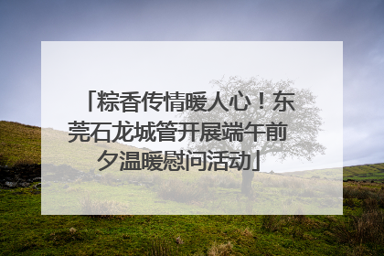 粽香传情暖人心！东莞石龙城管开展端午前夕温暖慰问活动