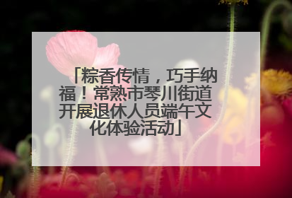 粽香传情，巧手纳福！常熟市琴川街道开展退休人员端午文化体验活动
