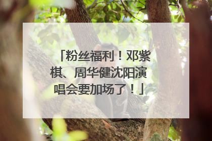 粉丝福利！邓紫棋、周华健沈阳演唱会要加场了！