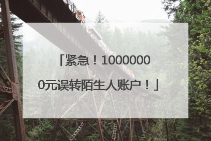 紧急！10000000元误转陌生人账户！
