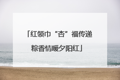 红领巾“杏”福传递 粽香情暖夕阳红