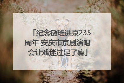 纪念徽班进京235周年 安庆市京剧演唱会让戏迷过足了瘾