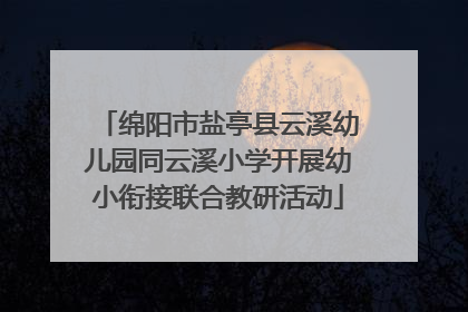 绵阳市盐亭县云溪幼儿园同云溪小学开展幼小衔接联合教研活动