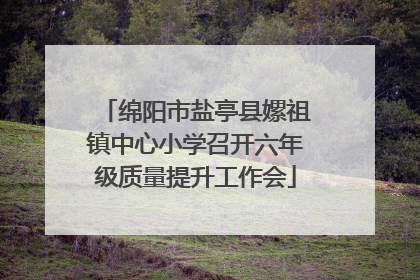 绵阳市盐亭县嫘祖镇中心小学召开六年级质量提升工作会