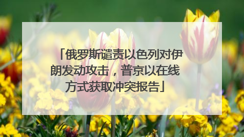 俄罗斯谴责以色列对伊朗发动攻击，普京以在线方式获取冲突报告