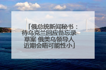 俄总统新闻秘书：待乌克兰回应备忘录草案 俄美乌领导人近期会晤可能性小