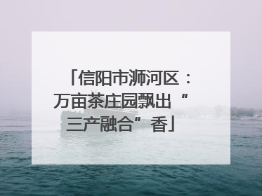 信阳市浉河区：万亩茶庄园飘出“三产融合”香