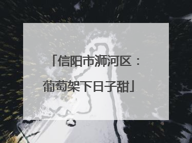 信阳市浉河区：葡萄架下日子甜
