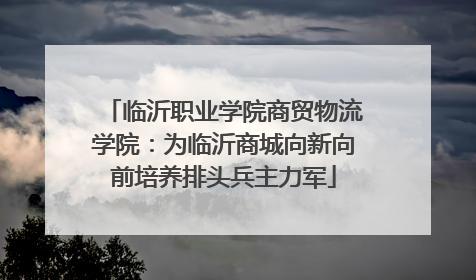 临沂职业学院商贸物流学院：为临沂商城向新向前培养排头兵主力军