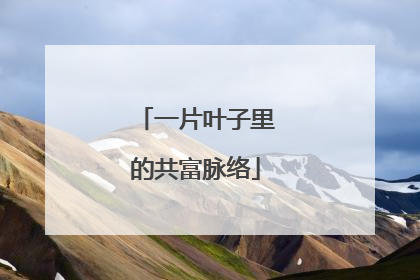 一片叶子里的共富脉络