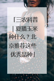 三农科普｜夏播玉米种什么？北京推荐这些优秀品种