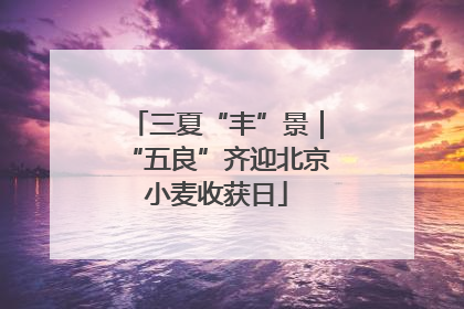 三夏“丰”景｜“五良”齐迎北京小麦收获日