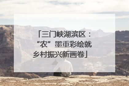 三门峡湖滨区：“农”墨重彩绘就乡村振兴新画卷