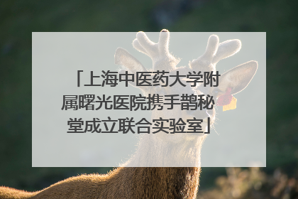 上海中医药大学附属曙光医院携手鹊秘堂成立联合实验室
