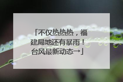 不仅热热热，福建局地还有暴雨！台风最新动态→