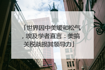 世界因中美缓和松气，埃及学者直言：美搞关税战损其领导力