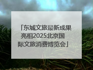 东城文旅最新成果亮相2025北京国际文旅消费博览会
