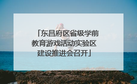 东昌府区省级学前教育游戏活动实验区建设推进会召开