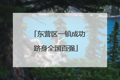 东营区一镇成功跻身全国百强