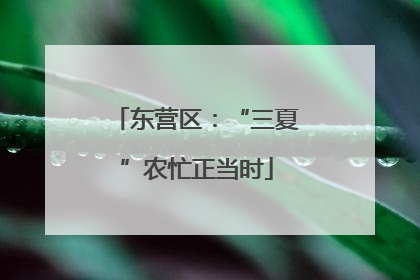 东营区：“三夏”农忙正当时