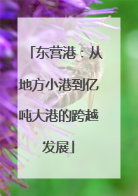 东营港：从地方小港到亿吨大港的跨越发展