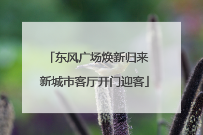 东风广场焕新归来 新城市客厅开门迎客