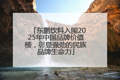 东鹏饮料入围2025年中国品牌价值榜，彰显强劲的民族品牌生命力