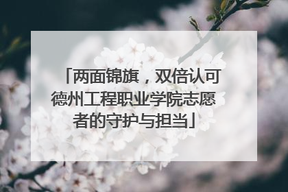 两面锦旗，双倍认可德州工程职业学院志愿者的守护与担当