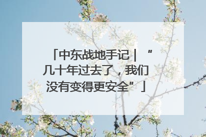 中东战地手记｜“几十年过去了，我们没有变得更安全”