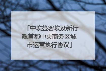 中埃签署埃及新行政首都中央商务区城市运营执行协议