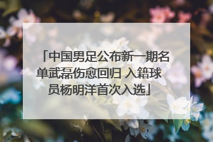 中国男足公布新一期名单武磊伤愈回归 入籍球员杨明洋首次入选