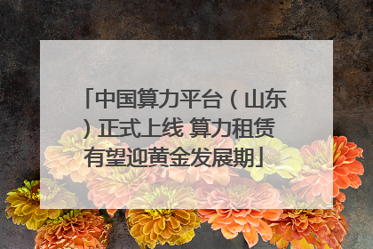 中国算力平台（山东）正式上线 算力租赁有望迎黄金发展期