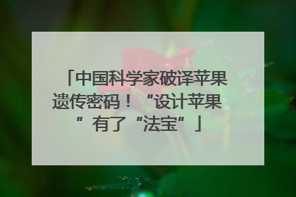 中国科学家破译苹果遗传密码！“设计苹果”有了“法宝”