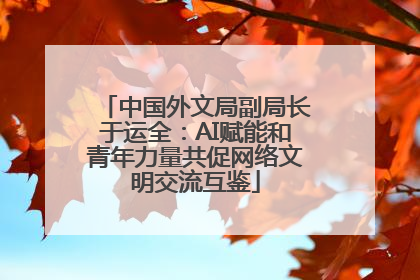 中国外文局副局长于运全：AI赋能和青年力量共促网络文明交流互鉴