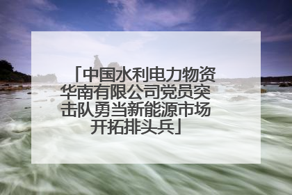 中国水利电力物资华南有限公司党员突击队勇当新能源市场开拓排头兵
