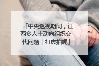 中央巡视期间，江西多人主动向组织交代问题｜打虎拍蝇