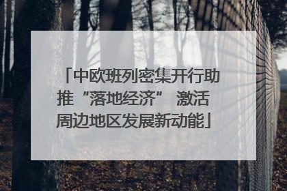 中欧班列密集开行助推“落地经济” 激活周边地区发展新动能