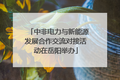 中非电力与新能源发展合作交流对接活动在岳阳举办