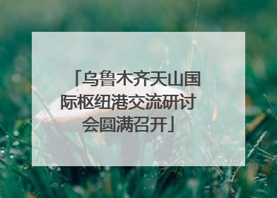 乌鲁木齐天山国际枢纽港交流研讨会圆满召开
