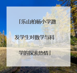 乐山柏杨小学激发学生对数学与科学的探索热情
