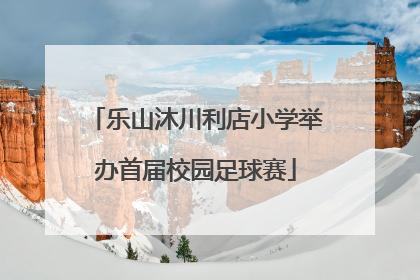 乐山沐川利店小学举办首届校园足球赛