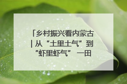乡村振兴看内蒙古｜从“土里土气”到“虾里虾气” 一田双收模式火出圈