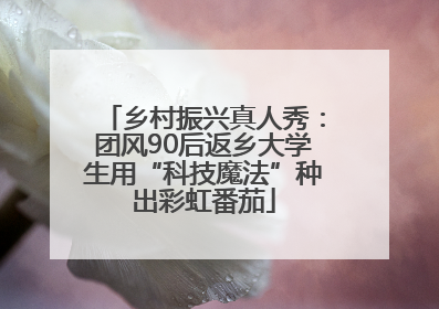 乡村振兴真人秀：团风90后返乡大学生用“科技魔法”种出彩虹番茄