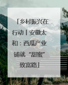 乡村振兴在行动丨安徽太和：西瓜产业铺就“甜蜜”致富路