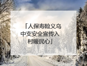 人保寿险义乌中支安全宣传入村暖民心