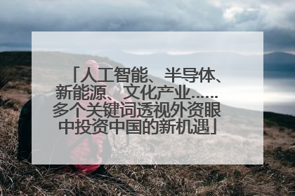 人工智能、半导体、新能源、文化产业……多个关键词透视外资眼中投资中国的新机遇