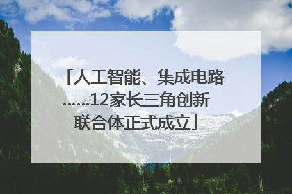 人工智能、集成电路……12家长三角创新联合体正式成立