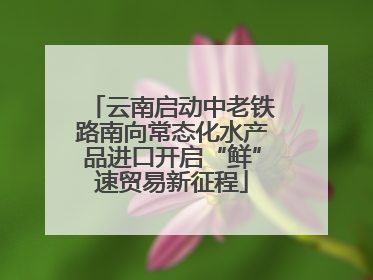 云南启动中老铁路南向常态化水产品进口开启“鲜”速贸易新征程